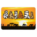 Search for safaris magnets Antelope
