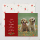 Search for funny dog quotes cards Minimal