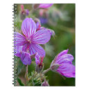 Search for geranium notebooks Summer