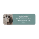 Search for ducks return address labels Blue