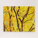 Search for linden tree Leaves