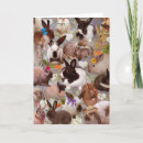 Search for happy bunny easter cards Humour