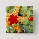 Search for red sea badges Ocean