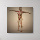 Search for sexual art Uterus