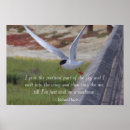 Search for bird flight posters Nature