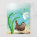 Search for sings postcards Animals