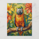 Search for amazon parrot postcards Colourful