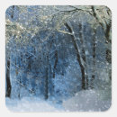 Search for winter lights stickers Forest