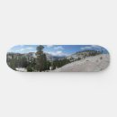 Search for point skateboards Landscape