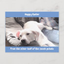 Search for funny easter postcards Puppy