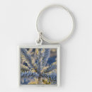 Search for frosted key rings Winter