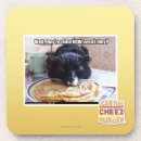 Search for now barware I can has cheezburger