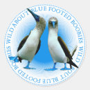 Search for galapagos islands stickers Birds
