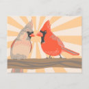 Search for cardinal postcards Illustration