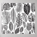 Search for fern leaf posters Illustration
