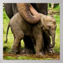 Search for mother baby elephant posters Cute animals
