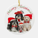Search for tibetan terrier Merry christmas