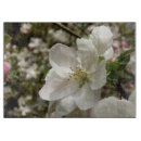 Search for apple chopping boards Glass