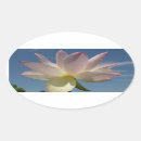 Search for blue lotus flower stickers Pink