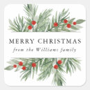 Search for evergreen stickers Pine