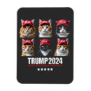 Search for safe magnets Vote