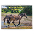 Search for forest calendars Equine