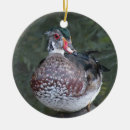 Search for wood duck christmas tree decorations Bird
