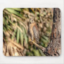 Search for hawk in mouse mats Red shouldered hawk