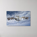 Search for artificial canvas prints View from space