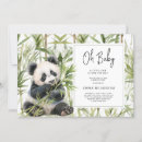 Search for panda bear Watercolor