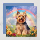 Search for yorkie pet memorials Rainbow bridge