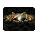 Search for surround magnets Universe