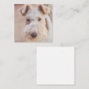 Search for terrier square invitations Dogs