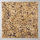 Search for matzah posters Seder