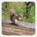 Search for attack stickers Animal