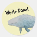Search for funny whale puns Whales