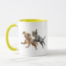 Search for animated cat mugs Pet hero