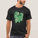 Search for monstera plant gifts Life