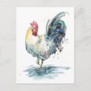 Search for splashing postcards Birds