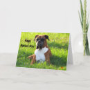 Search for boxer mom cards Mum