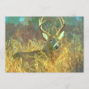 Search for whitetail invitations Wildlife