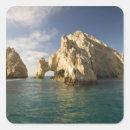 Search for baja stickers Mexico