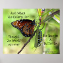 Search for milkweed butterfly posters Monarch