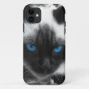 Search for siamese cat iphone cases Kitty