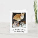 Search for funny cat fathers day cards Pets