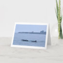 Search for bottlenose cards Ocean