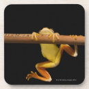 Search for tree frog barware Vertical