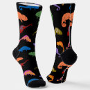 Search for lizard socks Chameleons