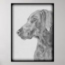 Search for dog posters Weimaraner