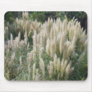 Search for apart mouse mats Nature